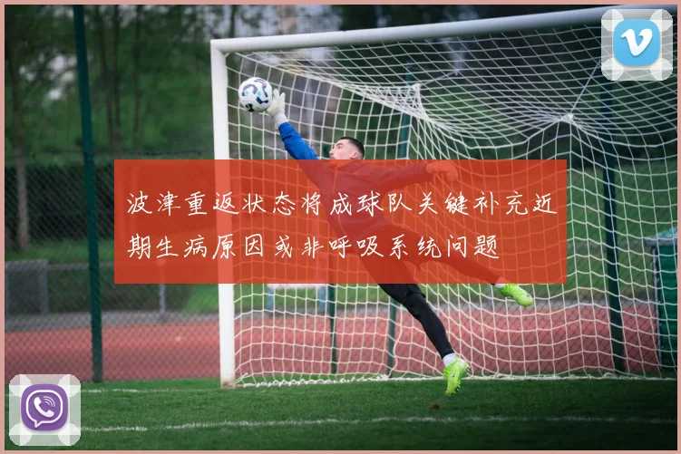 波津重返状态将成球队关键补充近期生病原因或非呼吸系统问题