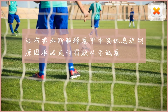 法布雷加斯解释意甲中场休息迟到原因承诺支付罚款以示诚意