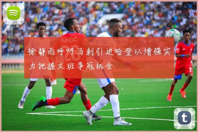 徐静雨呼吁马刺引进哈登以增强实力把握文班争冠机会